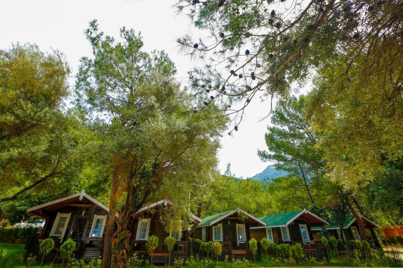 Green Pine Beach & Bungallows Hisaronu Exteriör bild